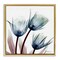 Stupell Industries Translucent Tulip Bulbs Floating Frame Design by Albert Koetsier